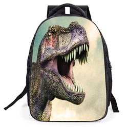 Школьный рюкзак для мальчика RDSH32