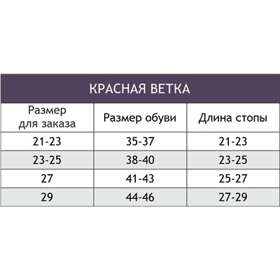 Красная ветка, Носки женские в сетку Красная ветка